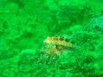 sCIMG0945.JPG