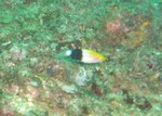 sCIMG0954.JPG