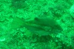 sCIMG0958.JPG