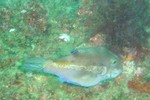 sCIMG0959.JPG