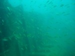 sCIMG0978.JPG