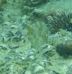 sCIMG1005.JPG