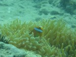 sCIMG1011.JPG