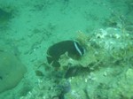 sCIMG1031.JPG