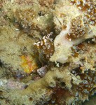 sCIMG1038.JPG