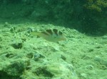 sCIMG1039.JPG