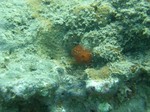 sCIMG1047.JPG