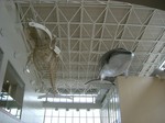 sCIMG0014.JPG