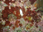 sCIMG0034.JPG