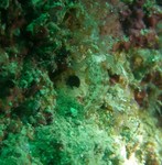 sCIMG0038.JPG