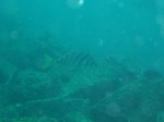 sCIMG0045.JPG