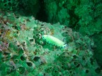 sCIMG0055.JPG