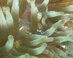 sCIMG0059.JPG