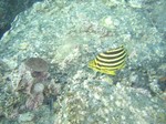 sCIMG0085.JPG
