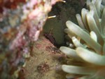 sCIMG0088.JPG