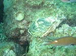 sCIMG0089.JPG