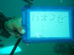 ご案内ハオコゼ