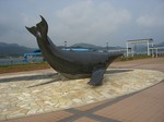 sCIMG0462.JPG